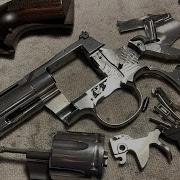 2020 Colt Python Disassembly Part 1 Of 2