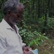 Leaf Litter Sample Collection In Forest