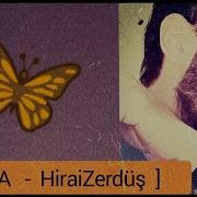 Anla HiraiZerdüş Bir Kuş Uçar Göğsümden Maviye