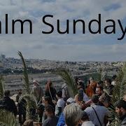 Jerusalem Palm Sunday Live Procession Coolkenyan Inisrael