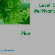 Level 1 Multivariate Plan