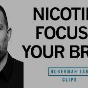 How Nicotine Impacts Your Brain Enhances Focus Dr Andrew Huberman