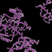 Types Of Organic Molecules In Your Body