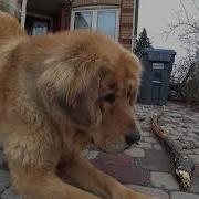 Test Sony FDR X3000 4K Test Clip