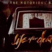 Biggie Smalls Hypnotize