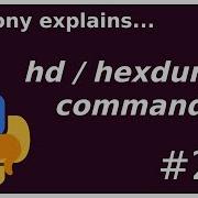 Showing Actual File Bytes With Hexdump Beginner Intermediate Anthony Explains 224
