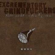 Excrementory Grindfuckers Grindcore Party