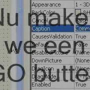 VB6 Webbrowser Maken