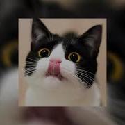 I M Yours Sped Up Reverb