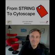 From STRING To Cytoscape Shorts