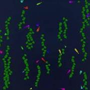 Creating Fish Unity Ecosystem Sim Ep 1 FishBites Devlog