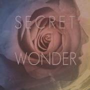 Secret Wonder How The Story Ends