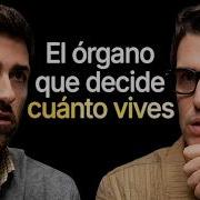 Nefrólogo La Hormona Que Frena Tu Envejecimiento Está En Un Órgano Que Ignoras