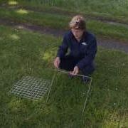 Sampling Strategies