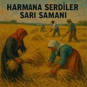Harmana Serdiler Sarı Samanı