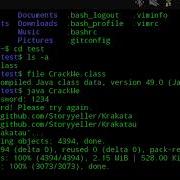 JAVA CODE TECHNIQUE PASSWORD VALIDATION TEST