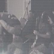 Lower Species Gag America S Hardcore 12 3 16