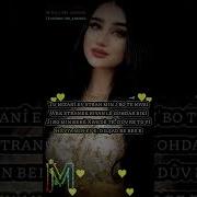Berdan Mardini Dilşad Be Bese Karaoke