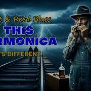 This Harmonica Is Pure Delta Soul A Slow Journey Through Dusty Blues Roads