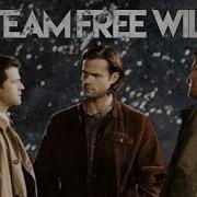 Team Free Will Sweet Dreams