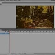 Convert Bitmap Images To Vector In Flash