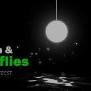 Lamp Fireflies Animation After Effects Tutorial Motion Design