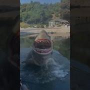 Jaws ATTACKS Universal Studios Hollywood Shorts Travel Shark Universalstudios