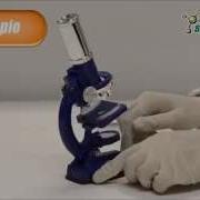 Science4you Microscope