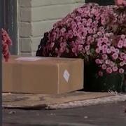 Preventing Package Thefts