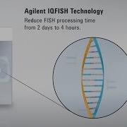 Agilent IQFISH Workflow