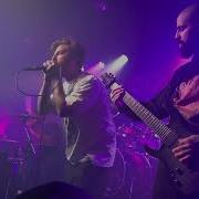 BodyBox Leech Live Dingbatz 2024