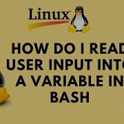 How Do I Read User Input Into A Variable In Bash