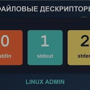 Перенаправление ввода вывода в Linux как работают Stdin Stdout Stderr и файловые дескрипторы