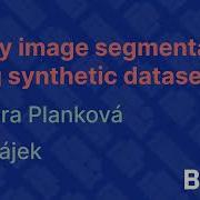 Binary Image Segmentation Using Synthetic Dataset