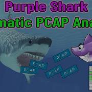 Purple Shark A Bash Script For PCAP Analysis Cybersecurity
