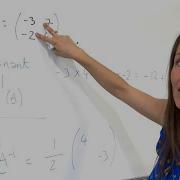 The Maths Prof Matrices Finding Determinant Inverse