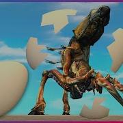 Новый способ создания NPC яиц из которых можно вылупиться Garry S Mod