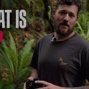 What Is ISO Camera Basics
