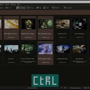 Digikam Using Modifier Keys Like Ctrl To Select Images While Accidentally Letting Go Of Ctrl