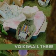 Tiny Chef Voicemail Three