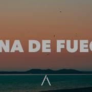 Palm Monkey Luna De Fuego