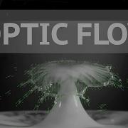 Optic Flow Algorithm