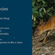 Processing Intro Lesson 10 Classes And Object Oriented Programming