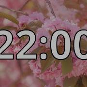 22 Minutes Timer With Relaxing Music Cherry Blossom Timer