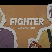 FIGHTER MEME