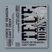 True Identity Voice Of Reason