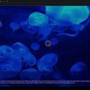 How To Create A Fullscreen Video Background With Play Pause Buttons HTML CSS And JS Webdesign