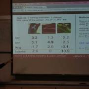 CS231n Lecture 3 Linear Classification 2 Optimization
