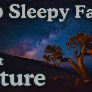 The Most Relaxing Nature Facts To Fall Asleep To