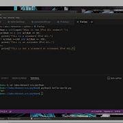 1 3 3 Lab Python Programming Review